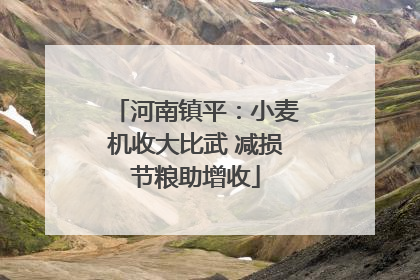 河南镇平：小麦机收大比武 减损节粮助增收