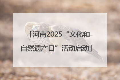 河南2025“文化和自然遗产日”活动启动