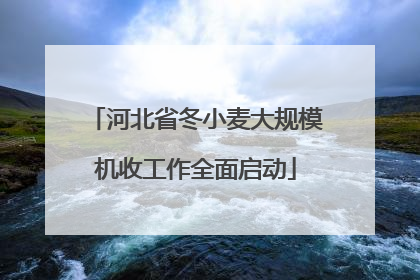 河北省冬小麦大规模机收工作全面启动