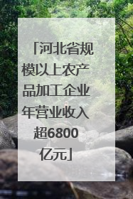 河北省规模以上农产品加工企业年营业收入超6800亿元