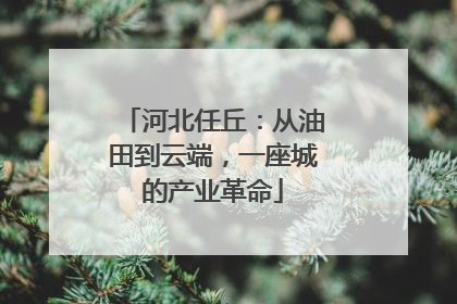 河北任丘：从油田到云端，一座城的产业革命