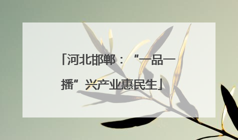 河北邯郸：“一品一播”兴产业惠民生