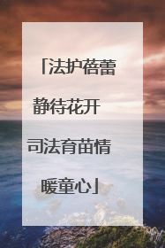 法护蓓蕾静待花开 司法育苗情暖童心