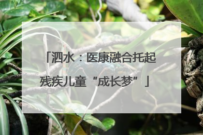 泗水：医康融合托起残疾儿童“成长梦”