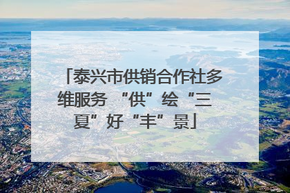 泰兴市供销合作社多维服务 “供”绘“三夏”好“丰”景