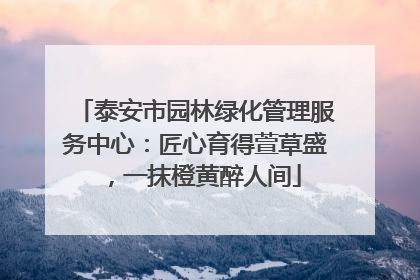 泰安市园林绿化管理服务中心：匠心育得萱草盛，一抹橙黄醉人间