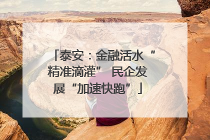 泰安：金融活水“精准滴灌” 民企发展“加速快跑”