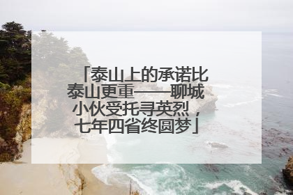 泰山上的承诺比泰山更重——聊城小伙受托寻英烈，七年四省终圆梦