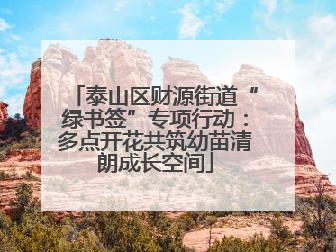 泰山区财源街道“绿书签”专项行动：多点开花共筑幼苗清朗成长空间
