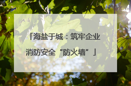 海盐于城：筑牢企业消防安全“防火墙”