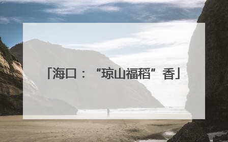 海口：“琼山福稻”香