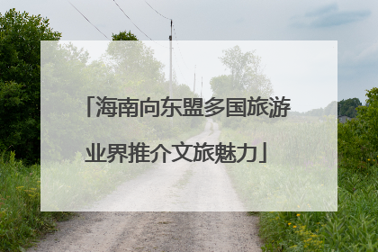 海南向东盟多国旅游业界推介文旅魅力