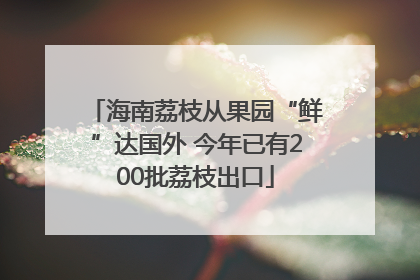 海南荔枝从果园“鲜”达国外 今年已有200批荔枝出口