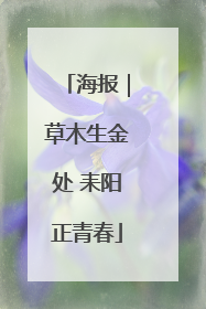 海报｜草木生金处 耒阳正青春