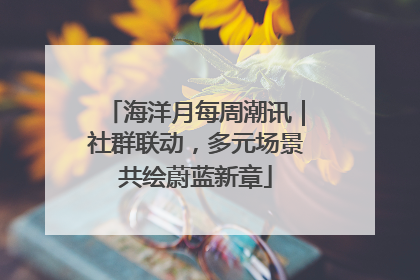 海洋月每周潮讯｜社群联动，多元场景共绘蔚蓝新章