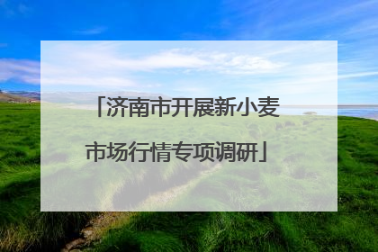 济南市开展新小麦市场行情专项调研