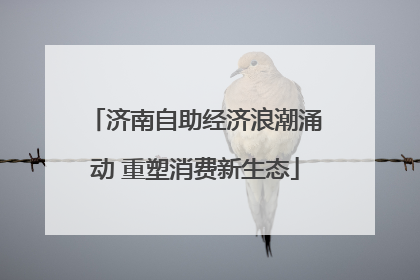 济南自助经济浪潮涌动 重塑消费新生态