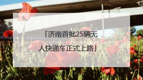 济南首批25辆无人快递车正式上路