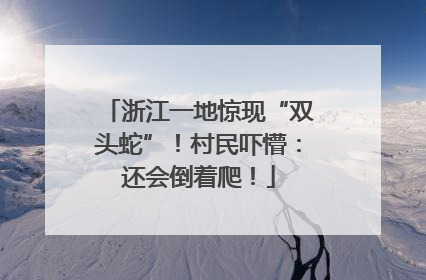 浙江一地惊现“双头蛇”！村民吓懵：还会倒着爬！