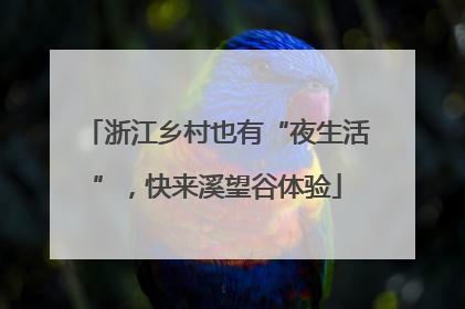 浙江乡村也有“夜生活”，快来溪望谷体验