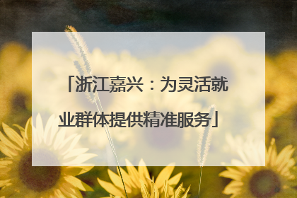 浙江嘉兴：为灵活就业群体提供精准服务