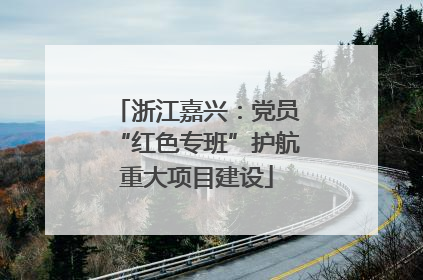 浙江嘉兴：党员“红色专班”护航重大项目建设