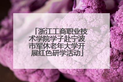 浙江工商职业技术学院学子赴宁波市军休老年大学开展红色研学活动