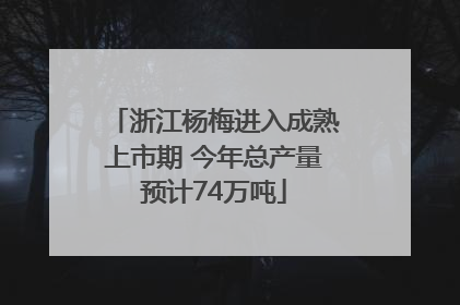 浙江杨梅进入成熟上市期 今年总产量预计74万吨