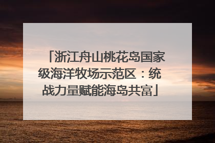 浙江舟山桃花岛国家级海洋牧场示范区：统战力量赋能海岛共富