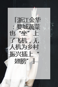 浙江金华：婺城蔬菜也“坐”上了飞机，无人机为乡村振兴插上“翅膀”