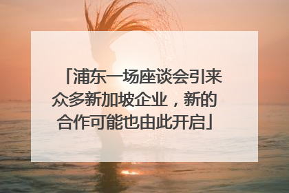 浦东一场座谈会引来众多新加坡企业，新的合作可能也由此开启