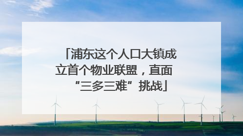 浦东这个人口大镇成立首个物业联盟，直面“三多三难”挑战