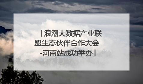 浪潮大数据产业联盟生态伙伴合作大会-河南站成功举办