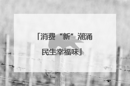 消费“新”潮涌 民生幸福味
