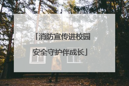 消防宣传进校园 安全守护伴成长