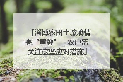 淄博农田土壤墒情亮“黄牌”，农户需关注这些应对措施