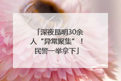 深夜昆明30余人“异常聚集”！民警一举拿下