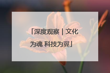 深度观察｜文化为魂 科技为翼
