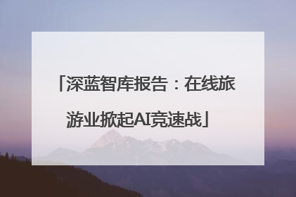 深蓝智库报告：在线旅游业掀起AI竞速战