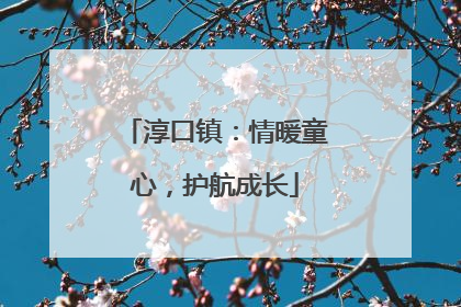 淳口镇：情暖童心，护航成长