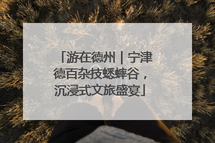 游在德州｜宁津德百杂技蟋蟀谷，沉浸式文旅盛宴