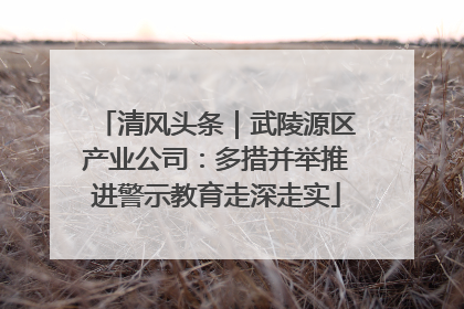 清风头条｜武陵源区产业公司：多措并举推进警示教育走深走实