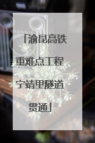 渝昆高铁重难点工程宁靖里隧道贯通