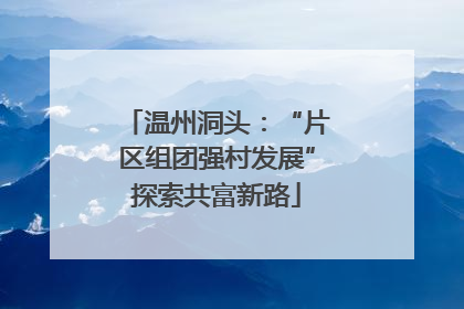 温州洞头：“片区组团强村发展”探索共富新路