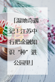湿地奇遇记！江苏中行把金融知识“种”进公园里