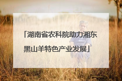湖南省农科院助力湘东黑山羊特色产业发展