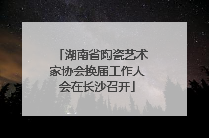 湖南省陶瓷艺术家协会换届工作大会在长沙召开