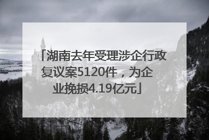 湖南去年受理涉企行政复议案5120件，为企业挽损4.19亿元