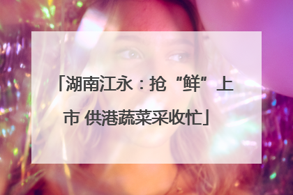 湖南江永：抢“鲜”上市 供港蔬菜采收忙
