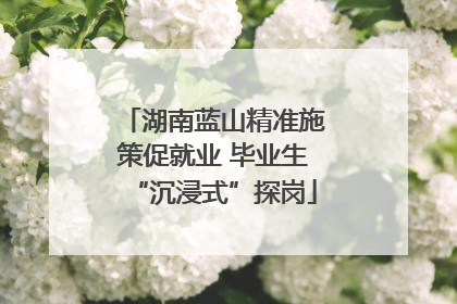 湖南蓝山精准施策促就业 毕业生“沉浸式”探岗